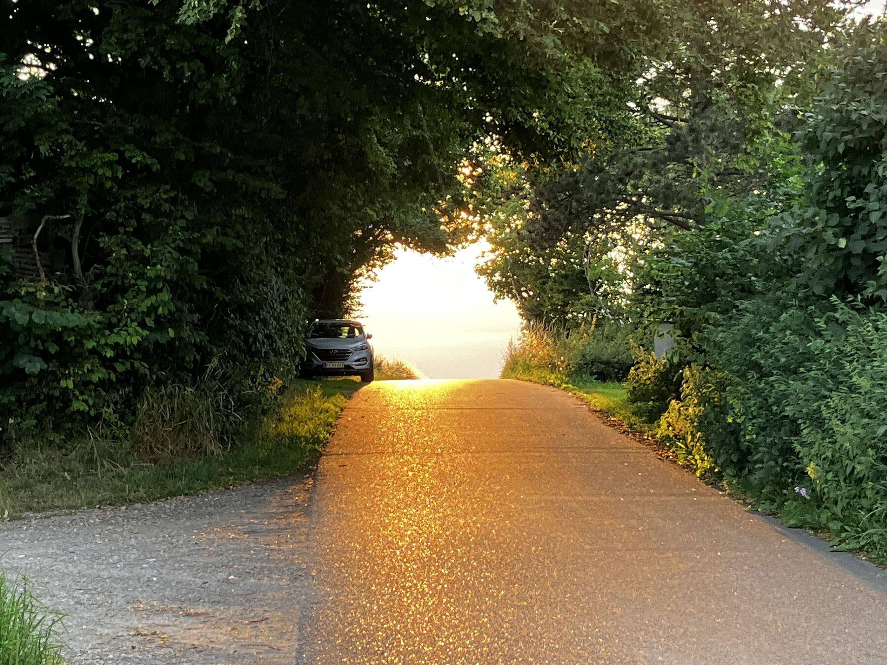 Landskab ved Glænø